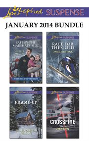 Love inspired suspense January 2014 bundle cover image