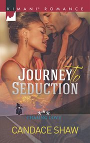 Journey to seduction cover image