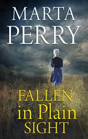 Fallen in plain sight cover image