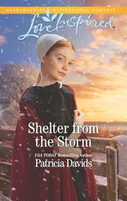 Shelter from the storm. A Fresh-Start Family Romance cover image