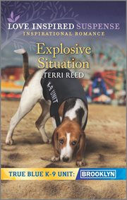 Explosive situation cover image