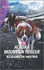 Alaska mountain rescue cover image