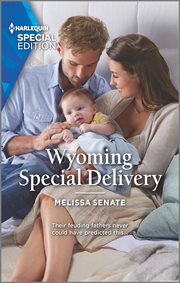 Wyoming special delivery cover image