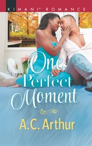 One perfect moment cover image