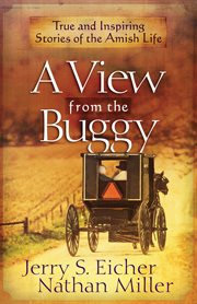 A view from the buggy cover image