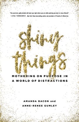 Cover image for Shiny Things