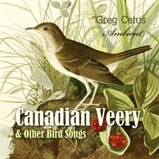 Cover image for Canadian Veery and Other Bird Songs