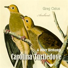 Cover image for Carolina Turtledove and Other Birdsongs