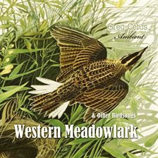Cover image for Western Meadowlark and Other Bird Songs