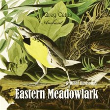 Cover image for Eastern Meadowlark and Other Bird Songs