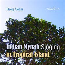 Cover image for Indian Mynah Singing in Tropical Island