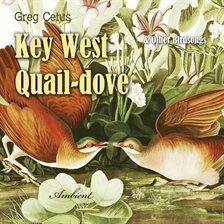 Cover image for Key West Quail-dove and Other Birdsongs