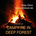 Campfire in deep forest. Meditation and Relaxation Audio cover image