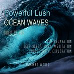 Powerful lush ocean waves. For Relaxation, Deep Sleep, Yoga, Meditation, Productivity, Exploration cover image