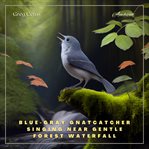 Blue-gray gnatcatcher singing near gentle forest waterfall : gray Gnatcatcher Singing Near Gentle Forest Waterfall cover image