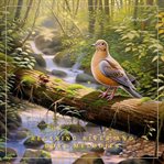 Relaxing River and Dove Melodies : Californian Woodland Ambiance. Natural World cover image