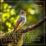 Ash-throated Flycatcher singing near delicate babbling stream in Californian woodlands : nature sounds for yoga and relaxation. Natural world cover image