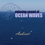 Relaxing sound of ocean waves: ambient audio for gentle relaxation, meditation, deep sleep, yoga, spa and lounge cover image