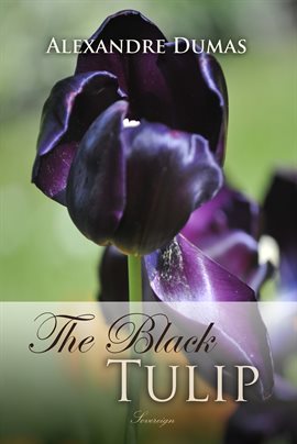 Cover image for The Black Tulip