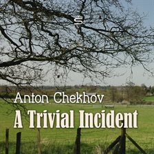 Cover image for A Trivial Incident