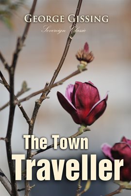 Cover image for The Town Traveller