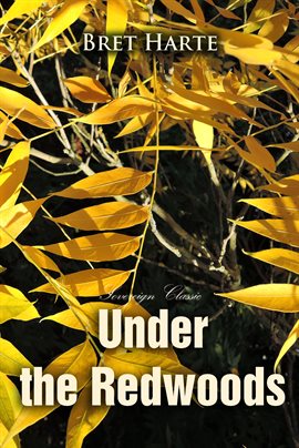 Cover image for Under the Redwoods
