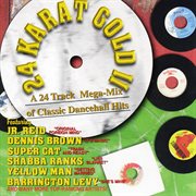 24 karat gold ii: classic dancehall megamix cover image