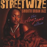 Smooth urban jazz: the slow jamz album cover image