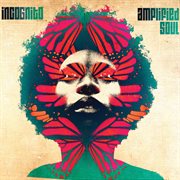 Amplified soul cover image