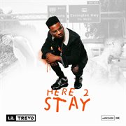 Here 2 stay cover image