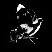 Mood Swings cover image