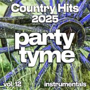 Country Hits 2025, Vol. 12 cover image
