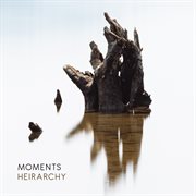 Hierarchy cover image