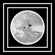 Only Here for the Summer cover image