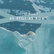 As still as now cover image