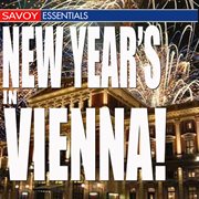 New year's in vienna cover image