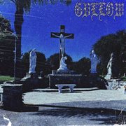 Twin Flames cover image