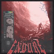 Endure cover image