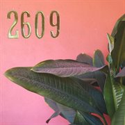 2609 cover image
