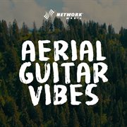 Aerial guitar vibes cover image