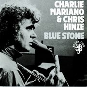 Blue stone cover image
