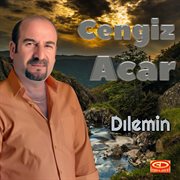 Dılemin cover image