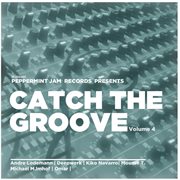 Catch The Groove, Vol. 4 cover image