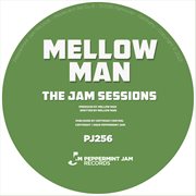 The Jam Sessions cover image