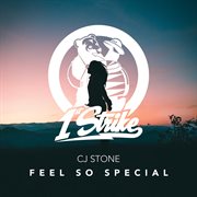 Feel so special cover image