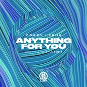 Anything for you cover image