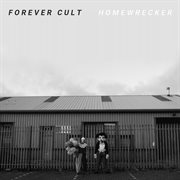 Homewrecker cover image
