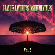 Grandes favoritas instrumentales,vol.2 cover image