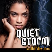 Quiet storm: soulful slow jams cover image