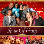 Spirit of praise, vol. 1 cover image